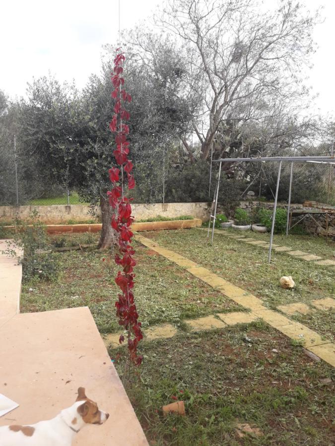 Microborgopasca Bed & Breakfast Sannicola Exterior foto