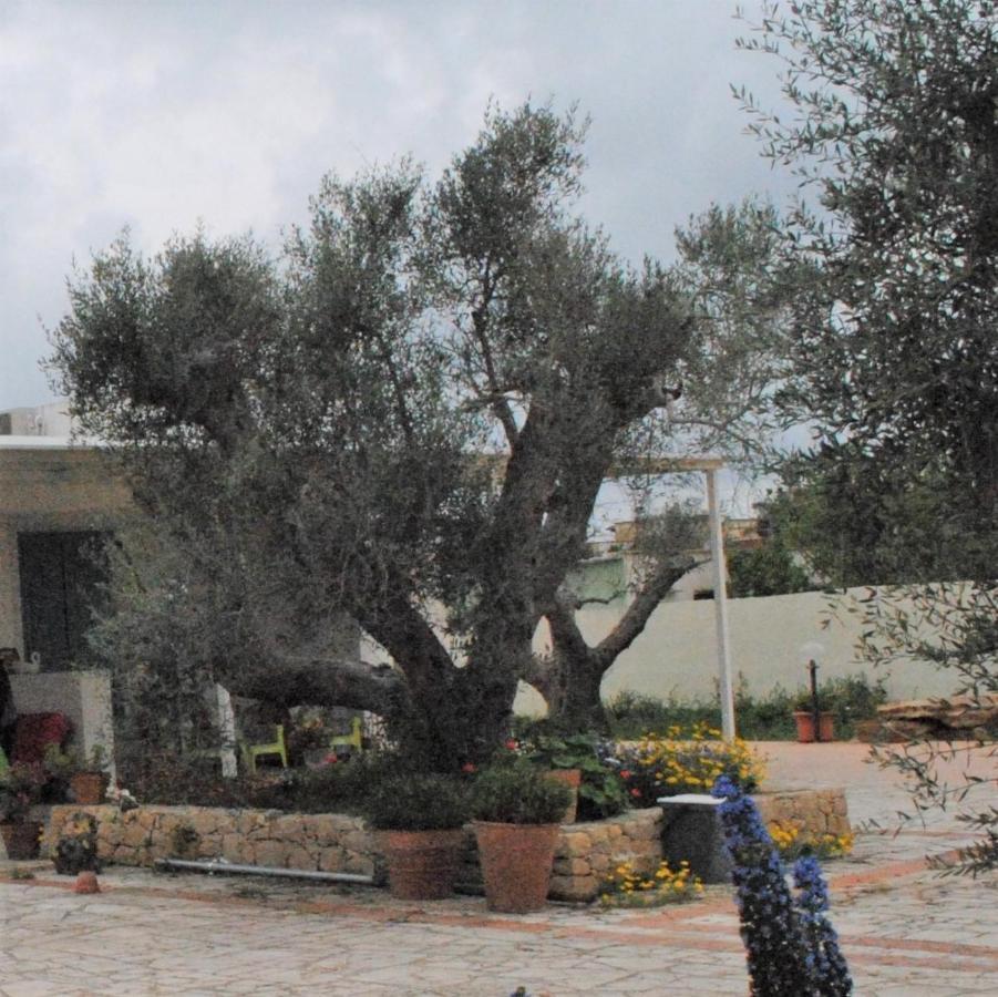 Microborgopasca Bed & Breakfast Sannicola Exterior foto
