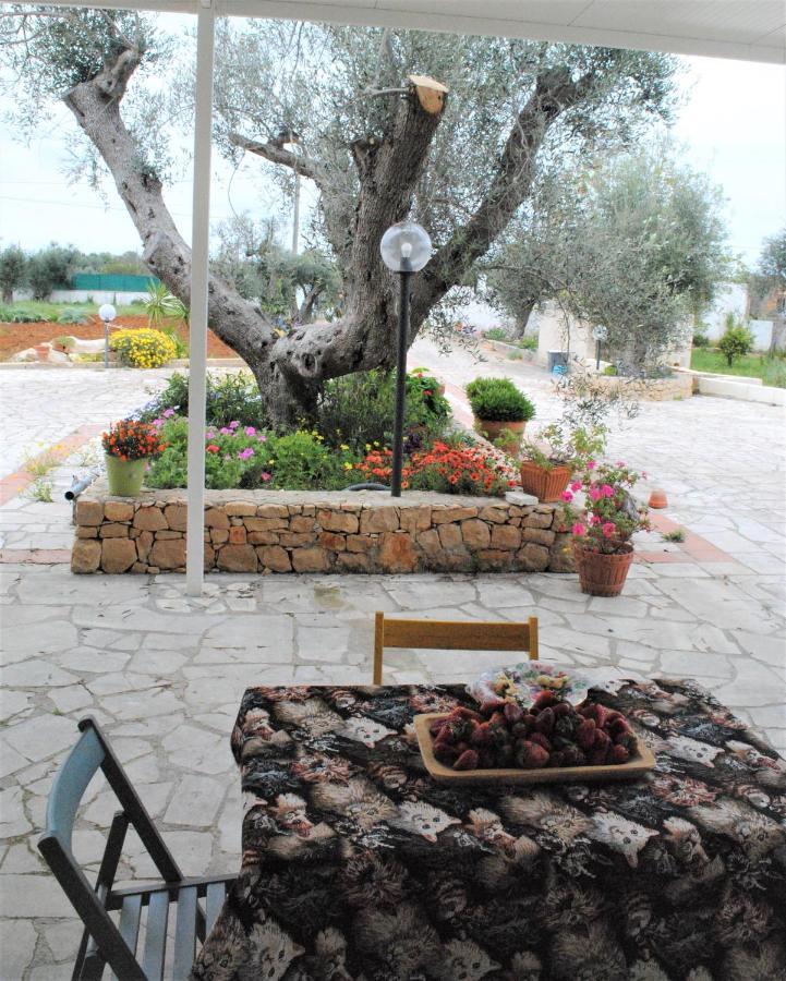 Microborgopasca Bed & Breakfast Sannicola Exterior foto