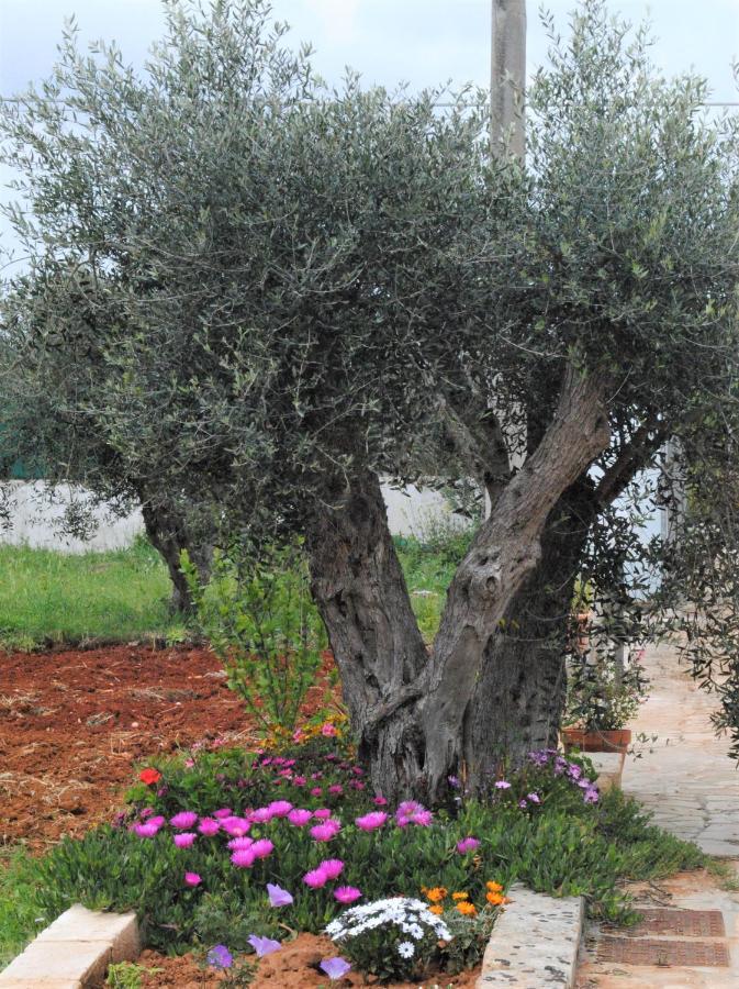 Microborgopasca Bed & Breakfast Sannicola Exterior foto